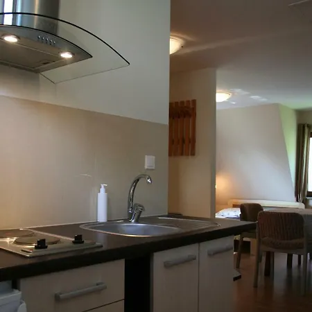 Homestay Dom Goscinny Magnolia *